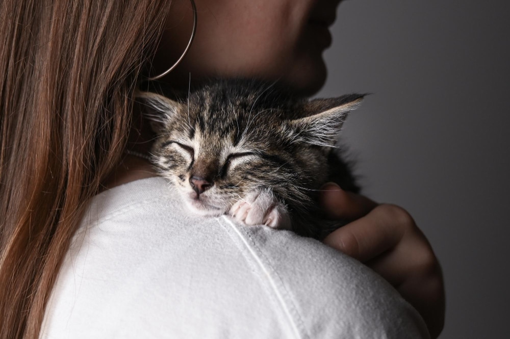 A person holds a small, sleeping tabby kitten against their shoulder, highlighting the importance of safety from pet abuse.