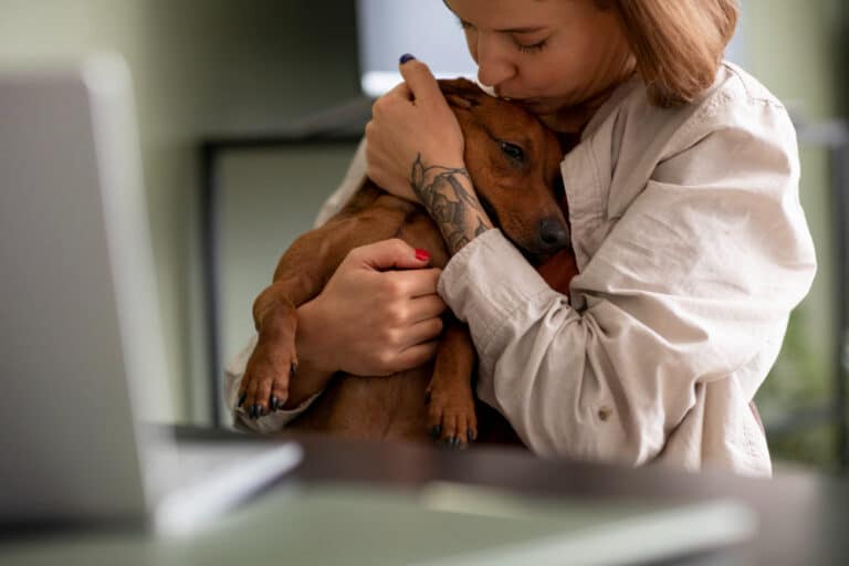 A woman sits at a desk in a New Zealand support office, holding and kissing a small brown dog.